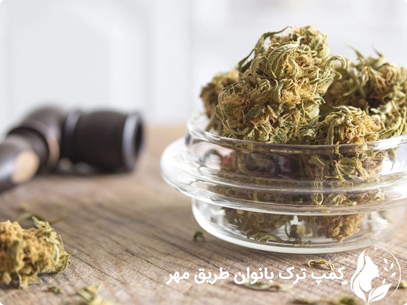 علائم اعتیاد به گل در بانوان