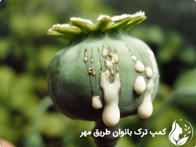 علائم اعتیاد به تریاک در زنان