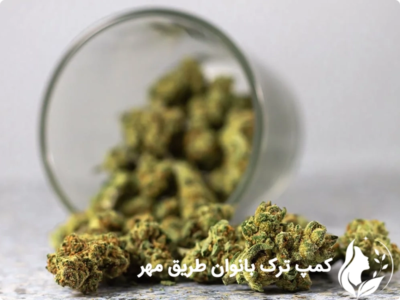 علائم ترک گل