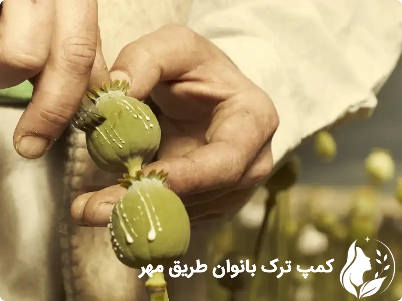 مدت زمان ترک تریاک در زنان چقدر است؟